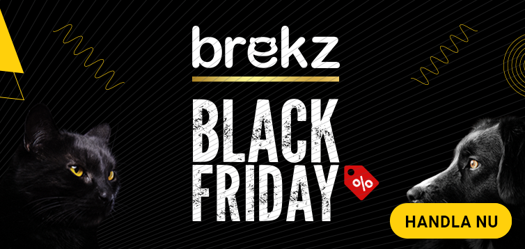 Black Friday main banner